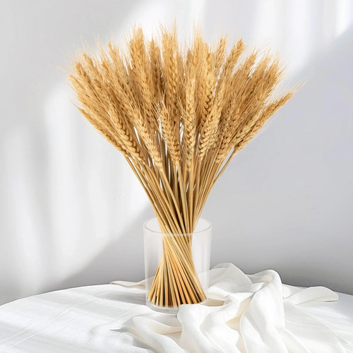 100 stems dried - 100, stalks